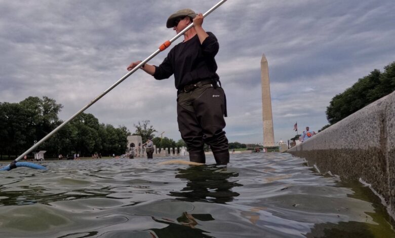 Trump blames vandals as algae returns on Reflecting Pool Trump blames vandals as algae returns on Reflecting Pool