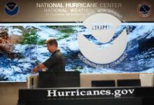 Senators press Cameron Hamilton on FEMA’s future