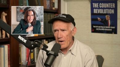 Hanson mocks Harris’s “hope” as Lemon interview goes viral