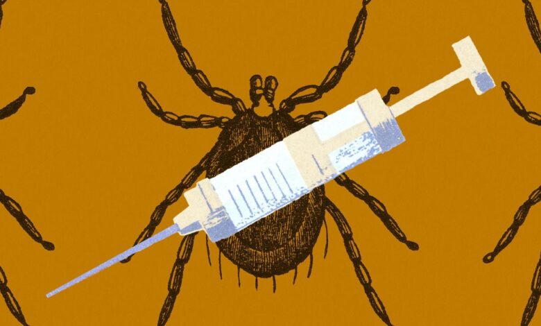 Tick bites surge in 2025 as Lyme spreads Tick bites surge in 2025 as Lyme spreads