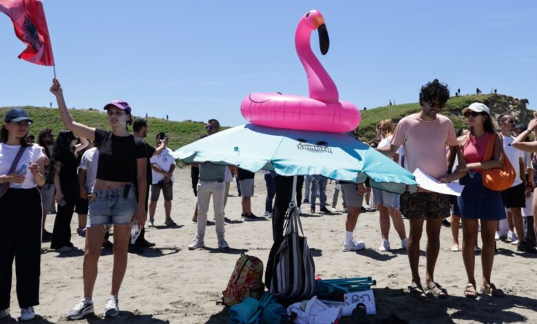 Flamingos, protests, and Kushner’s Albania resort plan