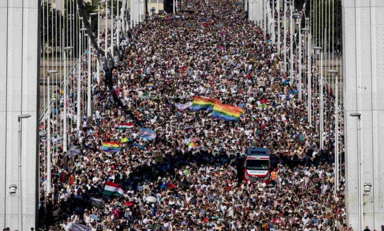 Protecting Children Becomes a Tool Against LGBT Rights