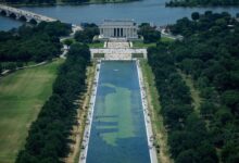 Trump blames vandals as Reflecting Pool stays algae-plagued