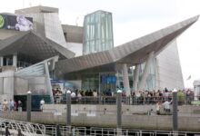 New England Aquarium offers free Ocean Day waterfront events