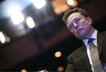 Musk’s trillion wealth sharpens fight over democratic limits