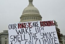 Democrats go quiet on climate as politics shifts