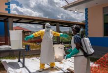 Ebola origin remains unknown as uncertainty spreads
