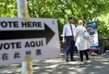 Tuesday primaries test Zohran Mamdani’s left-wing momentum