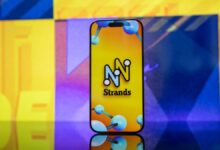 NYT Strands pulls ‘wedding’ spangram on June 6