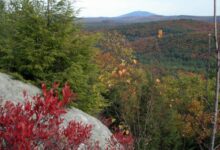 20-year-old hiker dies after medical incident in Monadnock