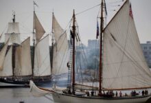 Sail Boston 250: Watch the Parade of Sail from water