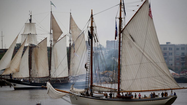 Sail Boston 250: Watch the Parade of Sail from water