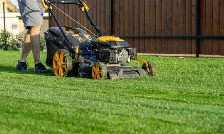 Drought-battered lawns: Sandor urges less mowing, no fertilizer Drought-battered lawns: Sandor urges less mowing, no fertilizer