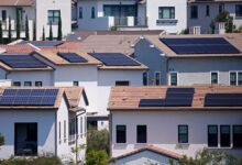 Trump’s wind crackdown can’t slow solar’s climb