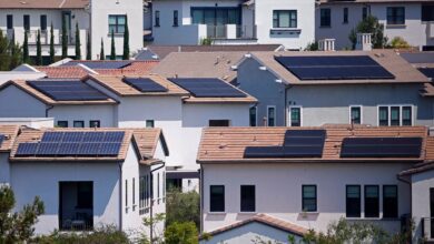 Trump’s wind crackdown can’t slow solar’s climb