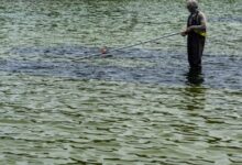 Trump warns reflecting pool may need draining repairs
