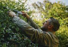 For veterans, a place where peace can take root