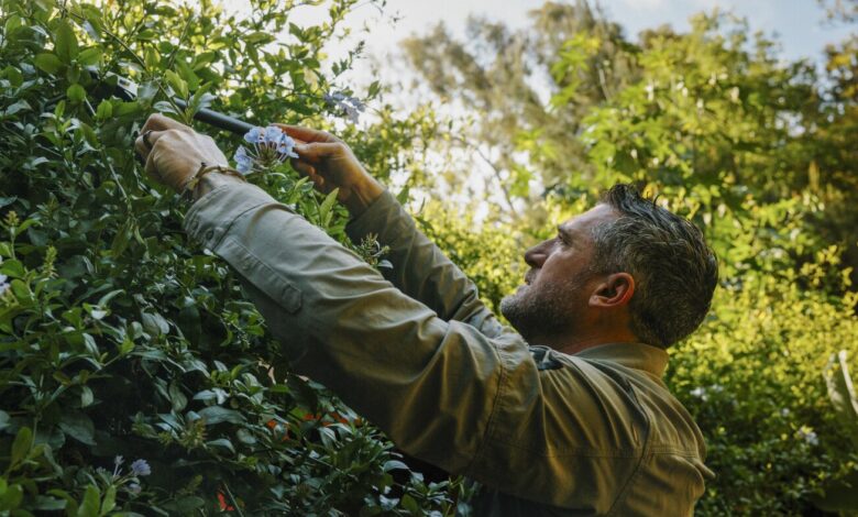 For veterans, a place where peace can take root For veterans, a place where peace can take root
