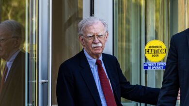 John Bolton pleads guilty after government classifed leaks