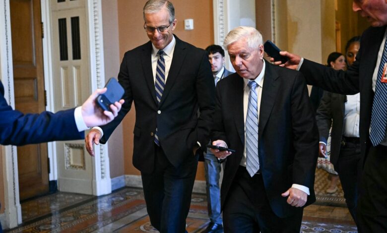 Senate moves  billion immigration funding as amendments fall