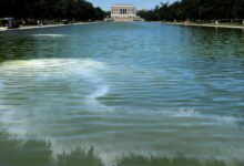 Algae clouds Reflecting Pool after Trump’s blue repaint