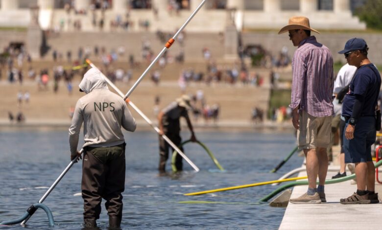 Trump says Park Police arrested vandals of reflecting pool Trump says Park Police arrested vandals of reflecting pool