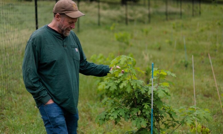 Forest Service plans closures; researchers call it costly