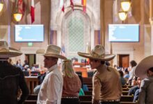 Battle rages at City Hall over proposed rodeo ban