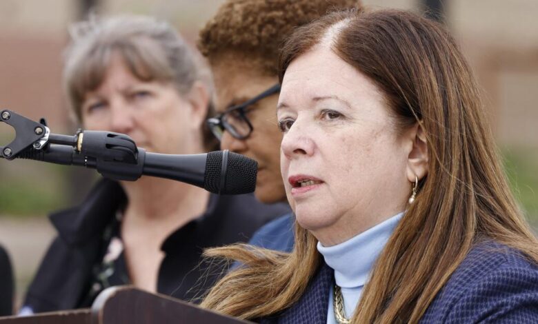Mejia leads; Feldstein Soto trails in early L.A. vote