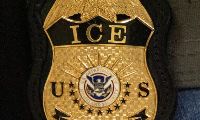 Santa Monica man pleads guilty to doxxing ICE attorney