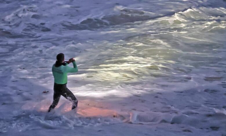 Body of Girl Swept Away in Laguna Beach Found Body of Girl Swept Away in Laguna Beach Found