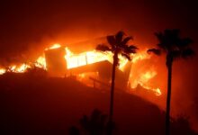 Mayor Karen Bass’ brother sues L.A. over Palisades fire