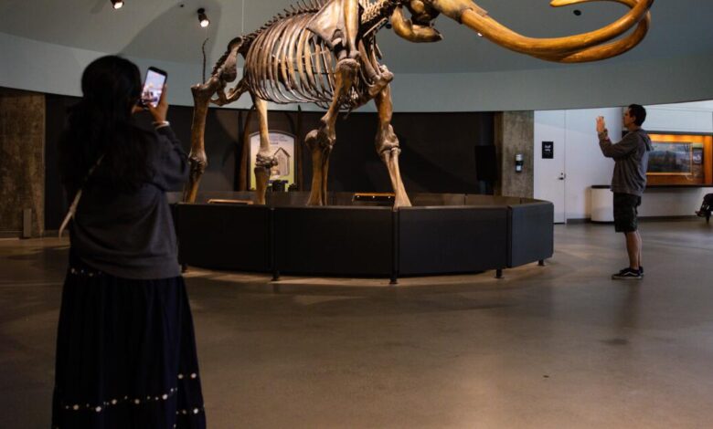 La Brea Tar Pits close for two-year renovation La Brea Tar Pits close for two-year renovation