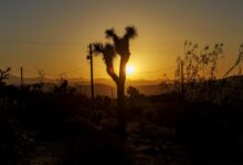 Red flag warning threatens rapid wildfire spread in Southern California