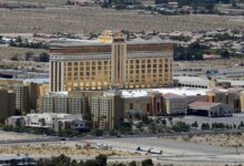 Teen arrested after stabbing three horses in Las Vegas