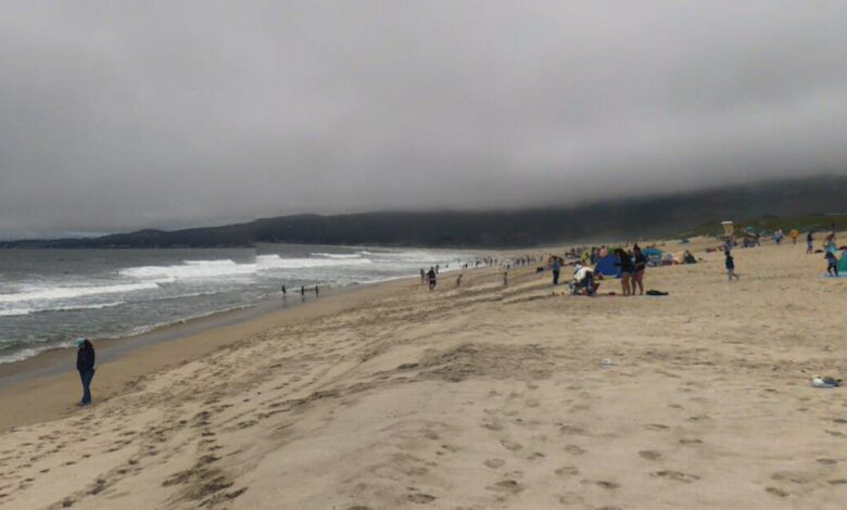 Distracted lifeguard vehicle hits sunbather at Half Moon Bay