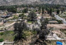 L.A. County pushes clearing overgrown burn lots