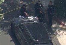 20 sticks of dynamite found in Valley Glen freezer