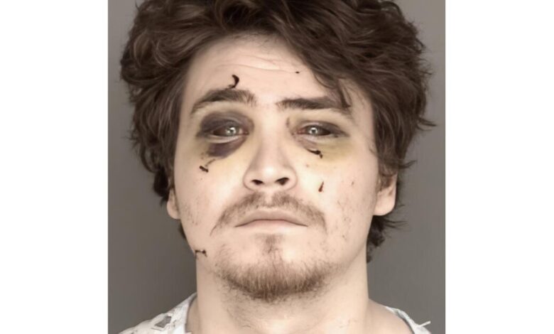 Canadian sentenced to two life terms in Monterey stabbing
