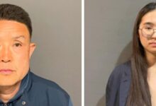 Trainer Tony Sit convicted for deaths of 11 dogs