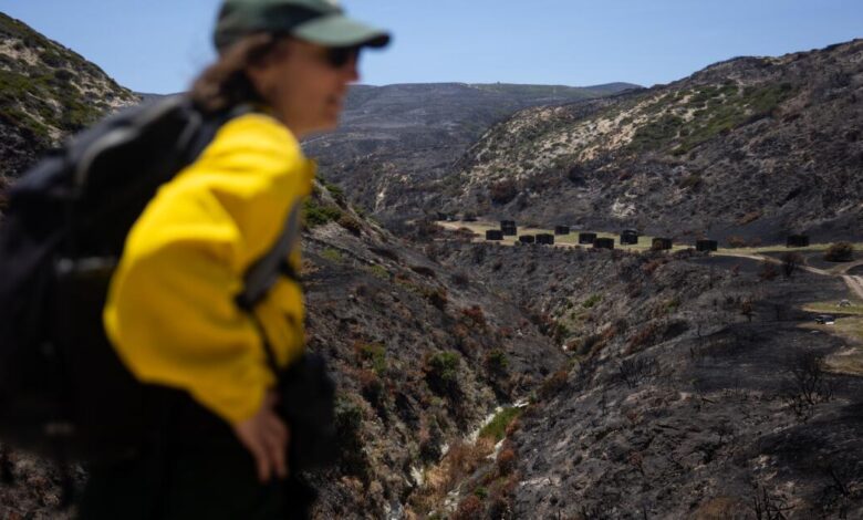 Wildfire nearly destroys Santa Rosa’s rare island ecosystem