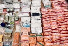 San Clemente drug bust nets .1 million, police say