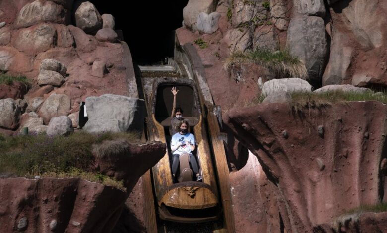 Teen plunges 50 feet from Disneyland flume