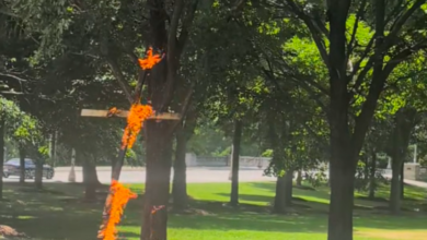 Burning cross in Grant Park triggers Chicago police probe
