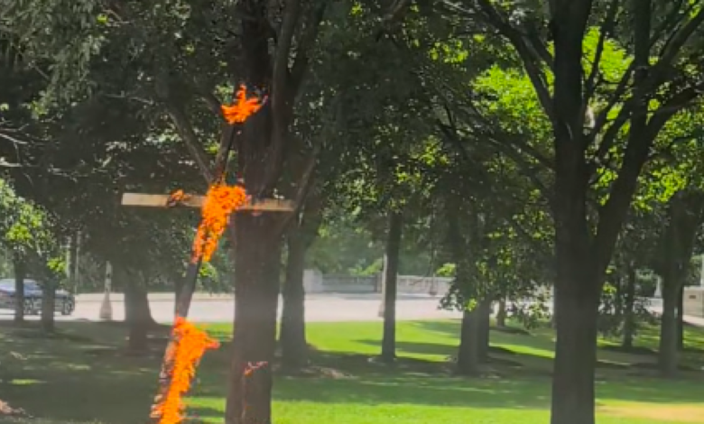 Burning cross in Grant Park triggers Chicago police probe Burning cross in Grant Park triggers Chicago police probe
