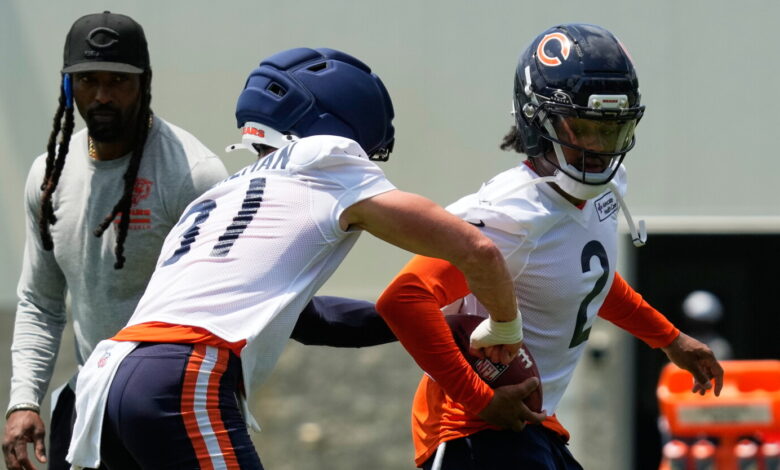 Bears push rookie Thieneman to slow down together