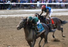Golden Tempo storms past Commandment to win Belmont Stakes