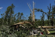 National Weather Service confirms at least 11 tornadoes across Illinois