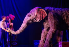 ‘Water for Elephants’ dazzles, but story falls flat
