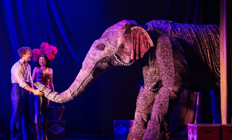 ‘Water for Elephants’ dazzles, but story falls flat